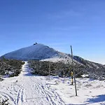 ゲストハウス Toreja 3*