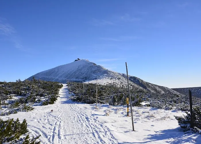 Гостевой дом Toreja 3*